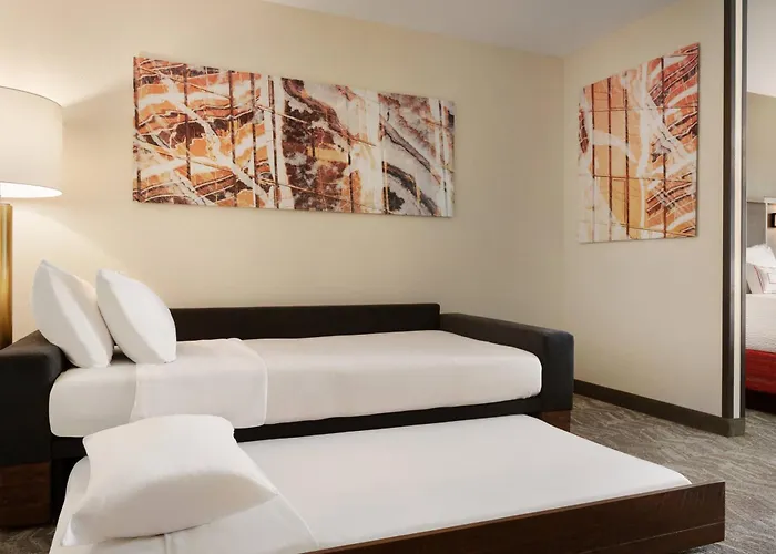 Springhill By Marriott Phoenix Fashion Center Hotel