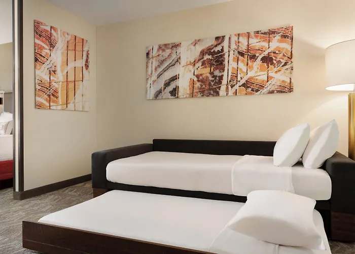 Springhill By Marriott Phoenix Fashion Center
